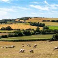 Larry Ellison Backs Oxford spinout Wild Bio in £45M round