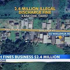 Real estate company fined $2.4M for unauthorized discharge into Kahaluu wetlands