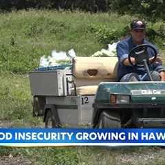 Hawaii families struggle as agriculture cuts raise food costs