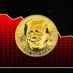 The Crypto Flash Crash - Insane Corruption