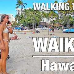 Welcome to Waikiki TODAY! 🏖 Oct. 25, 2025 Walking Tour.