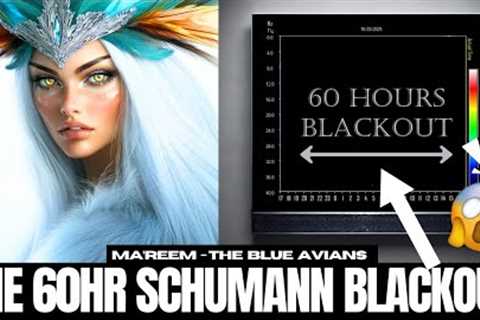 It's Starting... | MA'REEM | 7D Blue Avian Collective