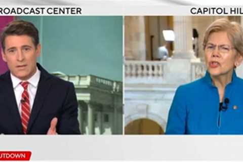 Elizabeth Warren Loses Her Mind When Journalist Notes That Democrats Actually Do Want Healthcare for Illegals on the Taxpayers’ Dime (VIDEO)