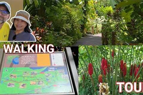 Hidden Gem in Hilo: Hawai'i Tropical Botanical Garden Walk