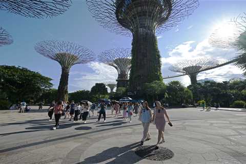 Why Singapore Is Getting Serious About Shade—and Everything Else You Need to Know About This Week