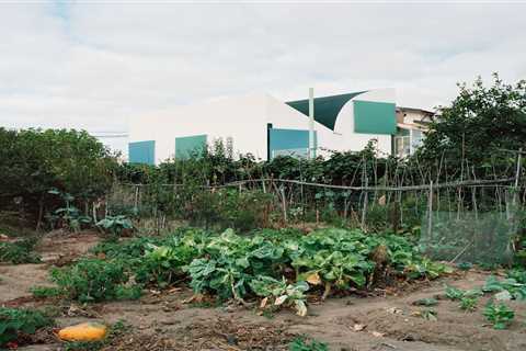 This Home in Portugal Turns Convention Upside Down—Starting With the Roof