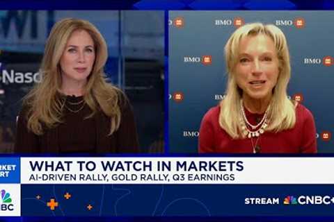 Investors are nervous, but not nervous enough to step off the equity rally: BMO's Carol Schleif