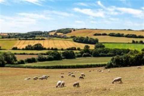 Larry Ellison Backs Oxford spinout Wild Bio in £45M round