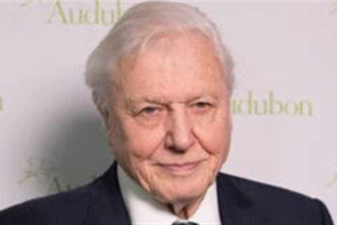 Sir David Attenborough, 99, becomes oldest daytime Emmy winner