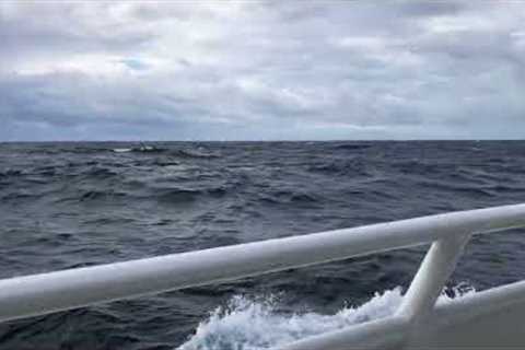 ~7 foot swells, somewhere in the North Atlantic…