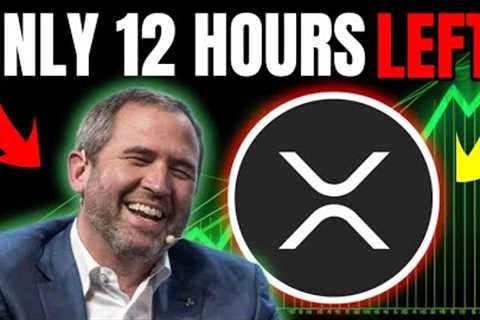 Do You Own XRP? If So, We Only Have 12 Hours Left!