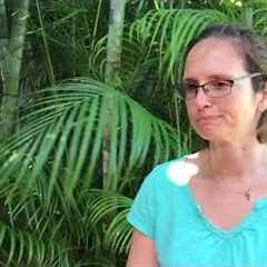 Best Roofing Company in Honolulu