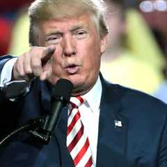 Appeals Court Denies Trump Request to Halt Judge’s Order Forcing Full Payment of SNAP Benefits