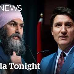Jagmeet Singh in a ‘difficult situation’ for non-confidence vote: former NDP MP | Canada Tonight