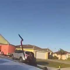 Video: 15-Year-Old Girl Arrested on Felony Charges After Attacking Occupied Police Car with a Shovel