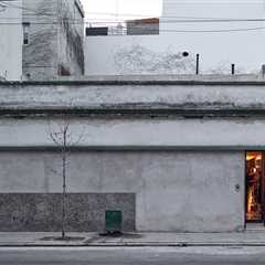 A Sanctuary of a Home Hides Behind This Gray Wall in the Middle of Buenos Aires