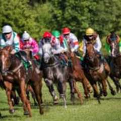 Horse-racing industry faces £10m blow from business rates overhaul