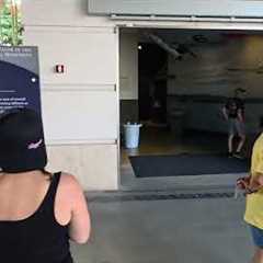 Arizona Memorial at Pearl Harbor is finally Opened! 10/6/2025