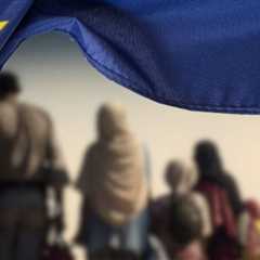 European Survival: Why the Only Thing Left is to Fight against Illegal Immigration and Organized Crime