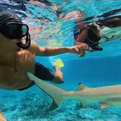 BABY CALI's FIRST SWIM with SHARKS!