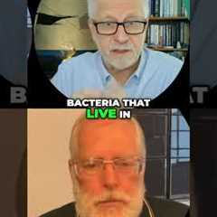 MRSA vs Strep: The Truth #shorts