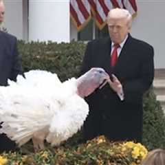 WATCH: Trump Roasts Chuck Schumer and Nancy Pelosi at Turkey Pardon, Jokes Record Setting Turkeys are Extremely Fat but Still MAHA