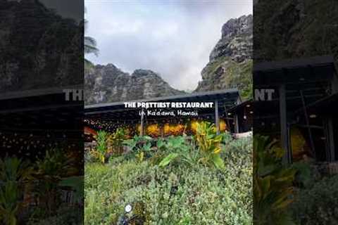 The prettiest restaurant in Kaaawa, Hawaii 🫶 #hawaii #hawaiifood #oahufood #oahurestaurants