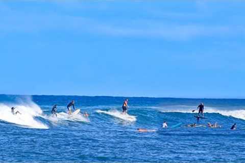 Pua'ena Chaos 😱💀 I’ve Never Seen THIS Many Surfers on One Wave North Shore Hawaii