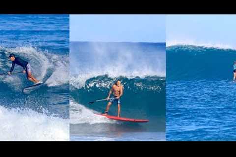 SUP Surfing Haleiwa, Avalanche, Pua'ena North Shore Hawaii | 11/1/25 | Surfing , Paddle, Foil