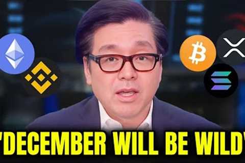 Tom Lee - People Don't Realize How WILD December Will Be for Crypto! MILLIONAIRES Will Be Made
