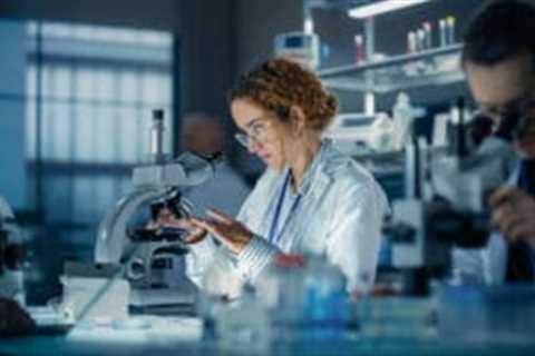 UK to phase out animal testing faster under £75m roadmap for scientific alternatives