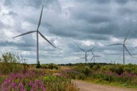 SSE unveils £33bn plan to upgrade UK electricity networks with £2bn investor backing