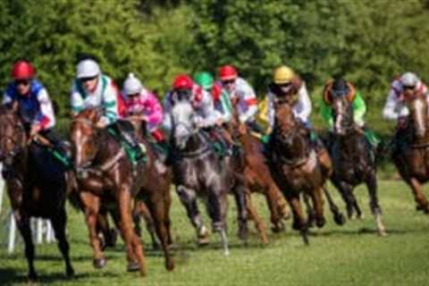 Horse-racing industry faces £10m blow from business rates overhaul