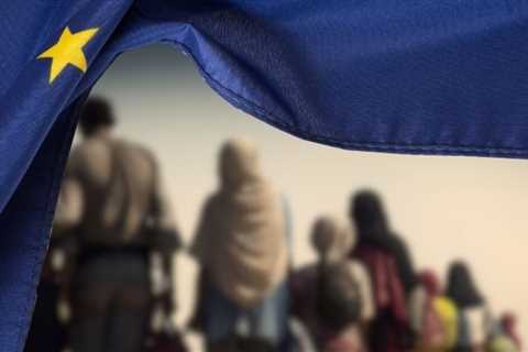 European Survival: Why the Only Thing Left is to Fight against Illegal Immigration and Organized Crime