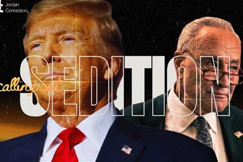 WATCH: Trump CALLS OUT Dems for ‘Seditious’ Behavior | DC Dive