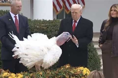 WATCH: Trump Roasts Chuck Schumer and Nancy Pelosi at Turkey Pardon, Jokes Record Setting Turkeys are Extremely Fat but Still MAHA