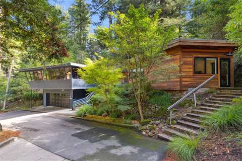 Redwoods Surround This $2M Mill Valley Midcentury