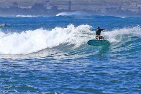 Pua'ena Point ~[4K/RAW] Mellow Relaxing Longboard Surfing North Shore O'ahu Hawaii |