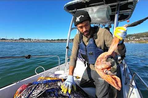 Crabbing at Half Moon Bay at Night Fall - Happy Thanksgiving!