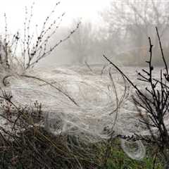 Fiber Optic Drones That Can’t Be Jammed Are Leaving Webs of Wires Everywhere in Ukraine’s Battlefields