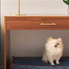 Here’s How to Create a Custom Dog Bed You’ll Actually Want to Look At