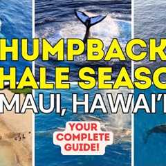 Maui Hawaii Whale Watching Guide: Everything You Need to Know! Kaanapali, Kihei, Wailea & Makena