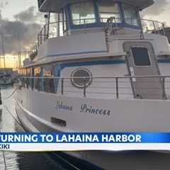 Whale watching returns to Lahaina Harbor