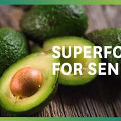 Top Foods for Seniors and Their Benefits