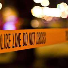 Imported Violence: Bellevue Police Officer Lured Into Ambush and Stabbed by Sierra Leone National