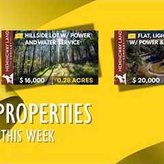 New Mexico Land For Sale - New Properties Debuting This Week, 11-07-25