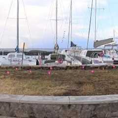 Lahaina harbor opens for business