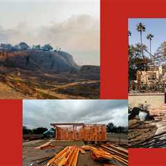 The Year L.A. Burned