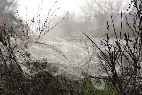 Fiber Optic Drones That Can’t Be Jammed Are Leaving Webs of Wires Everywhere in Ukraine’s Battlefields