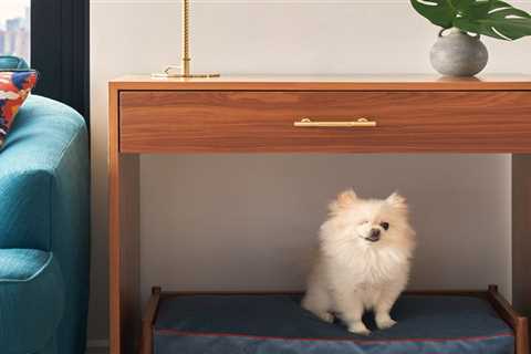 Here’s How to Create a Custom Dog Bed You’ll Actually Want to Look At